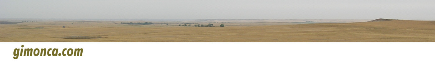 gimonca.com